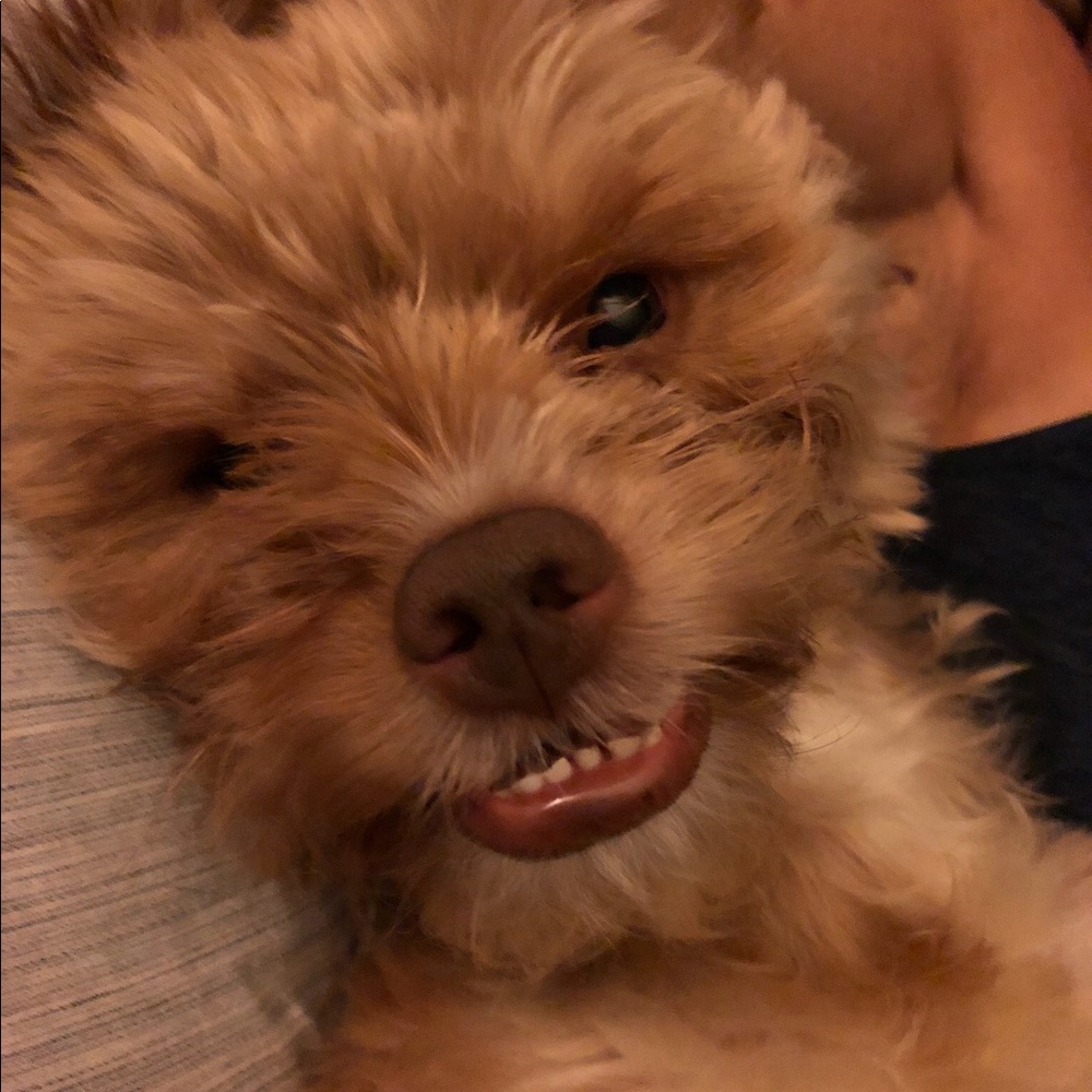 Meet your Posher, Anita